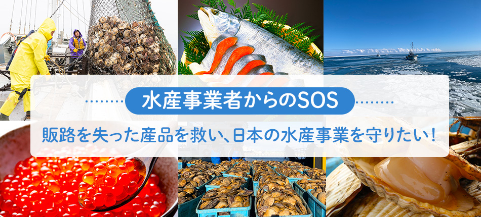 事業者からのSOS！日本の水産事業を守りたい
