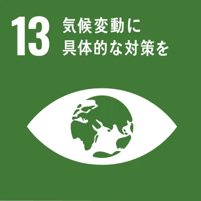 13:CLIMATE ACTION